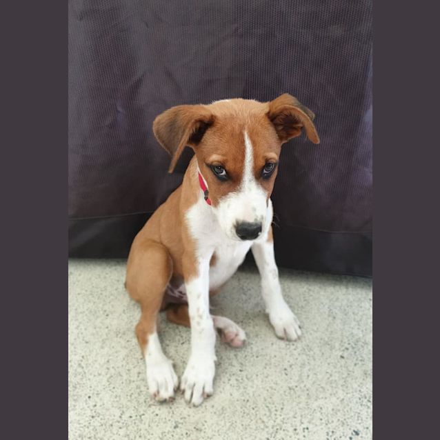 Photo of Judge