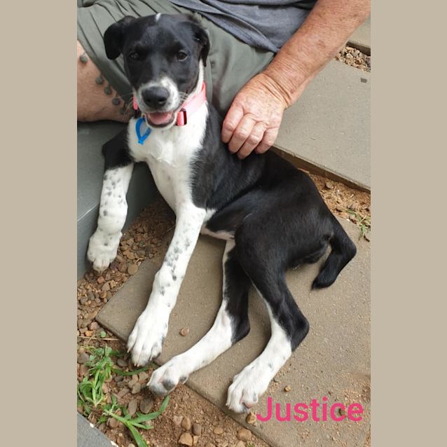 Photo of Justice 