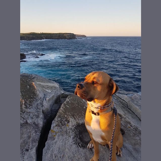 Photo of Dougie