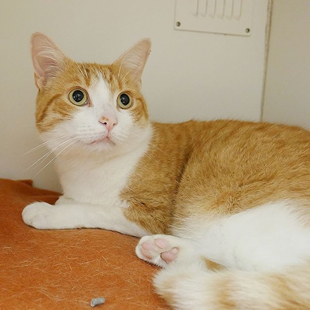 Photo of Prince Sta004779