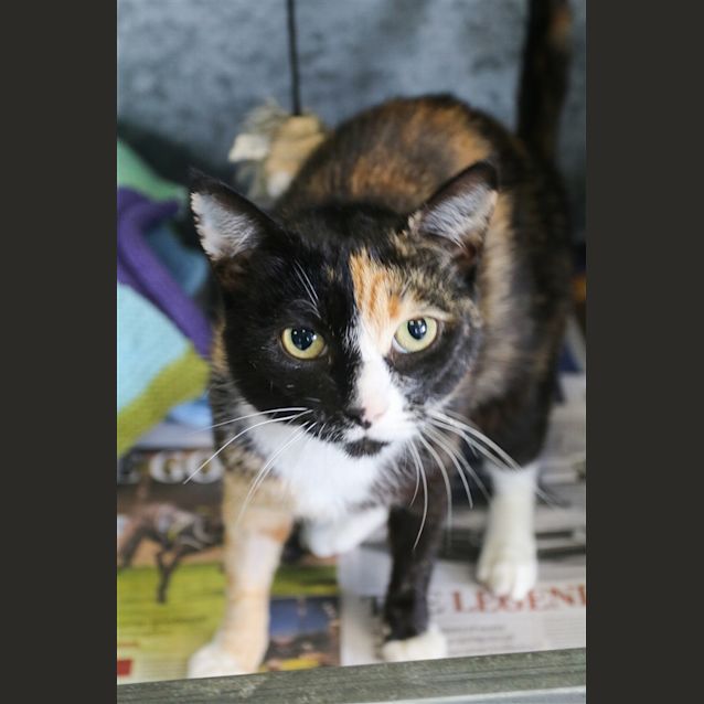 Photo of Amelie
