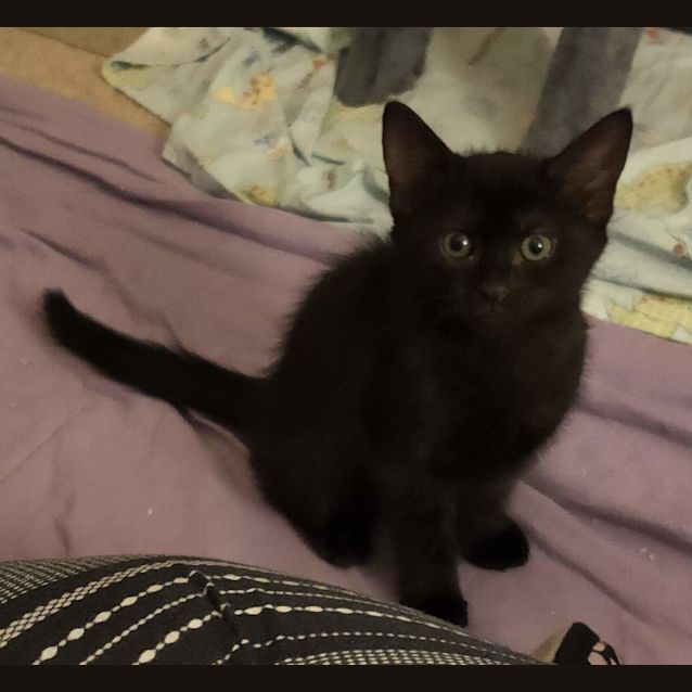 Photo of Fran 