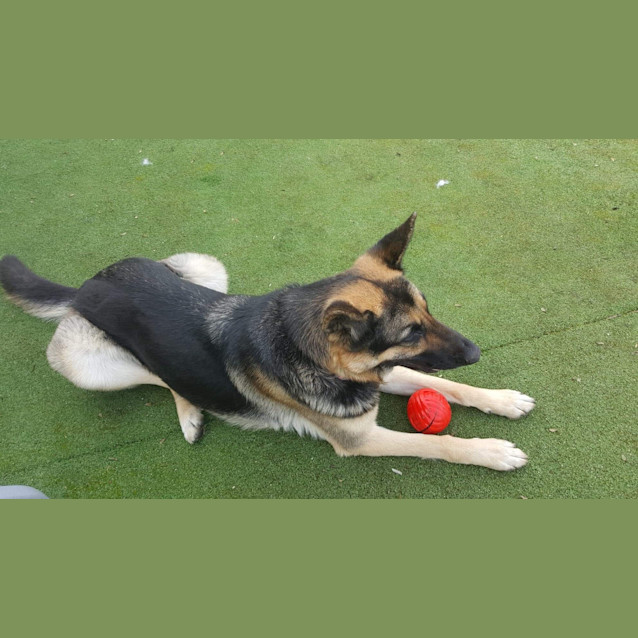 Photo of Cleo Snr Meet And Greet 28.3.20