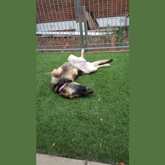 Photo of Cleo Snr Meet And Greet 28.3.20