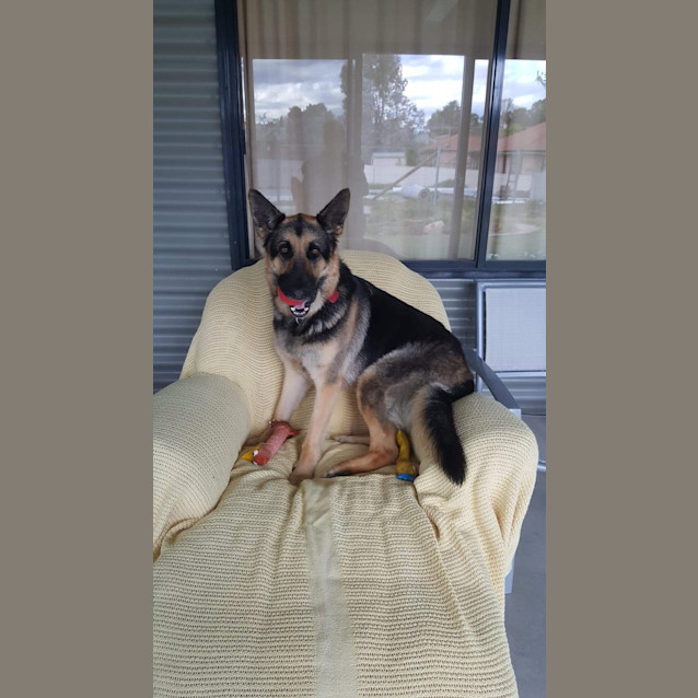 Photo of Cleo Snr Meet And Greet 28.3.20