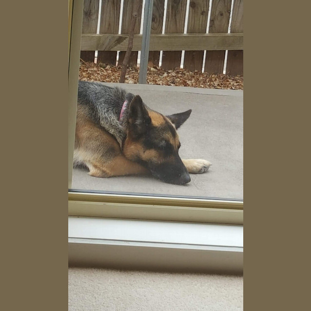 Photo of Cleo Snr Meet And Greet 28.3.20