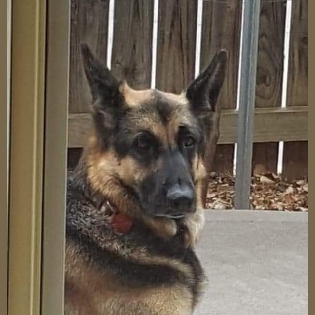 Photo of Cleo Snr Meet And Greet 28.3.20