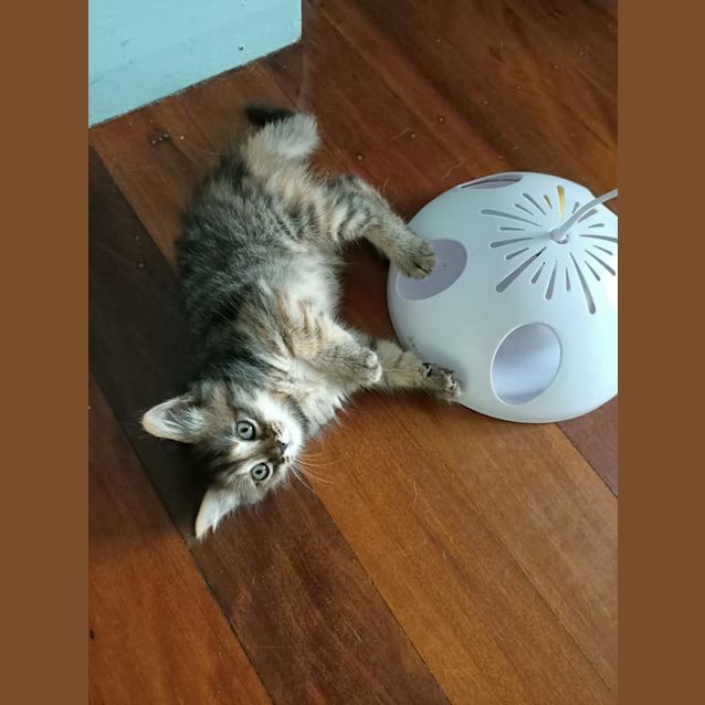 Photo of Miss Lady 