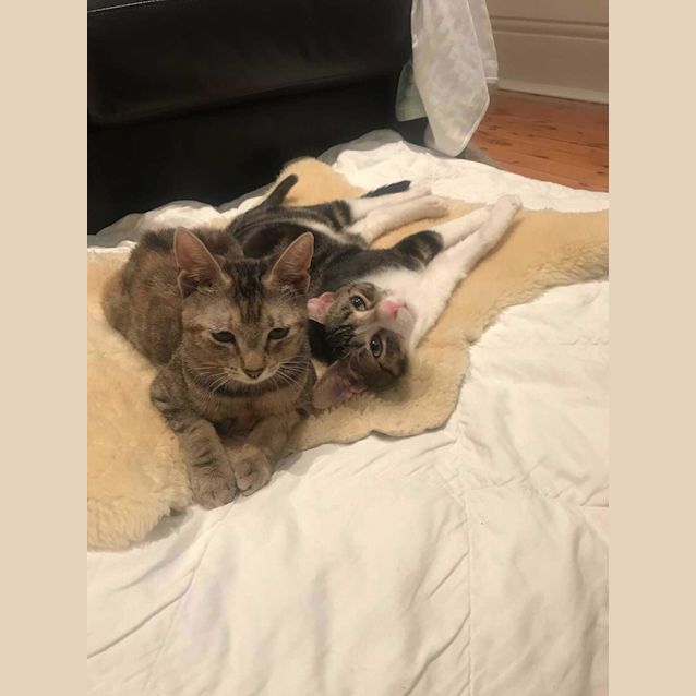 Photo of Marcus & Lola