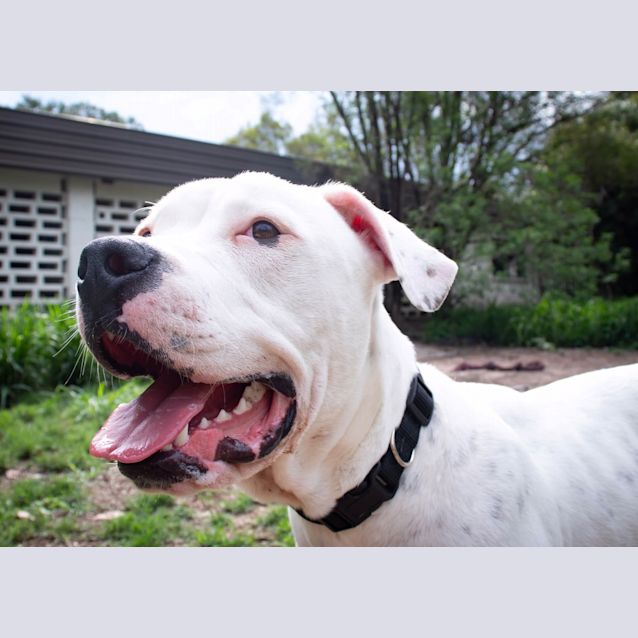 Photo of Hugo