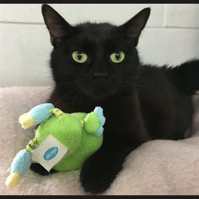 Photo of Winnie