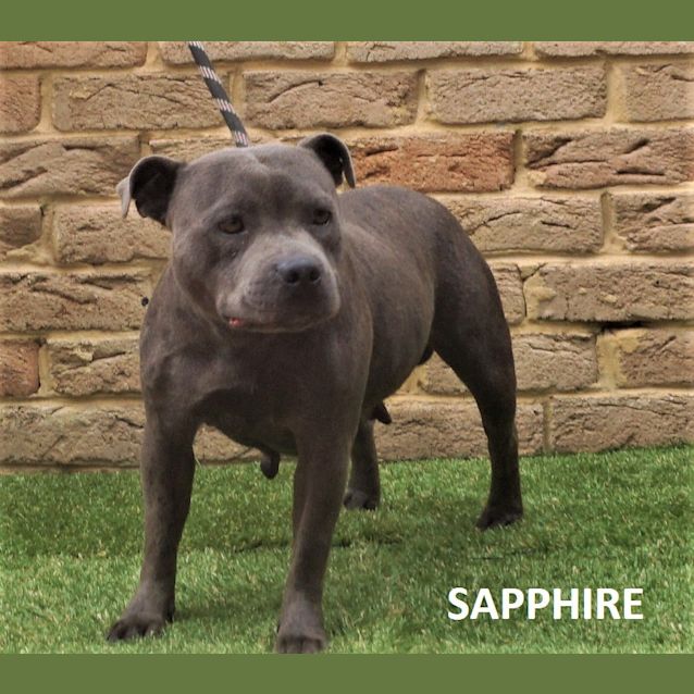 Photo of Sapphire