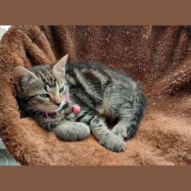 Photo of Willow 💖