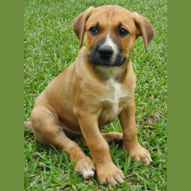 Photo of Emersyn