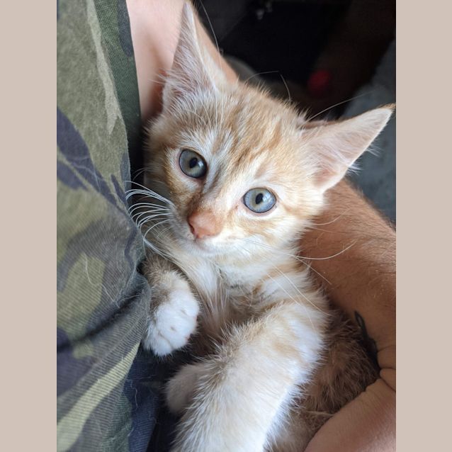Photo of Fred ❤