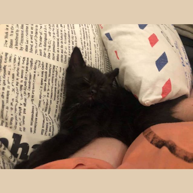 Photo of Vader 