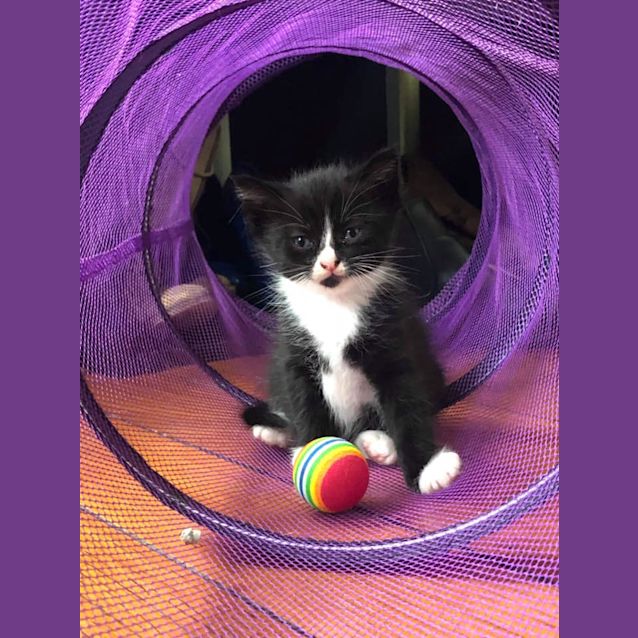Photo of Meredith 