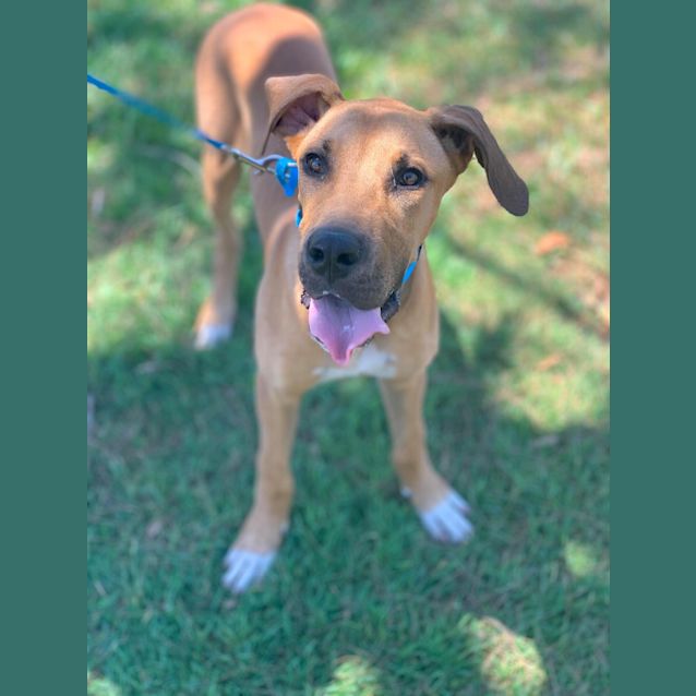 Photo of Cosmo