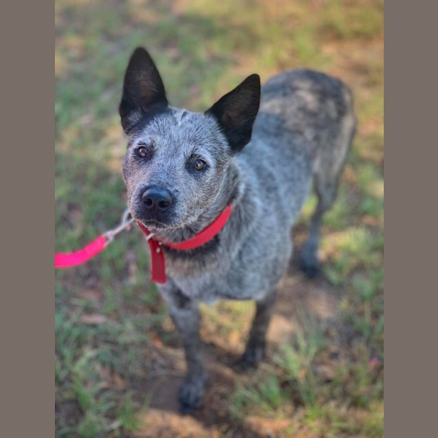 Photo of Dotty
