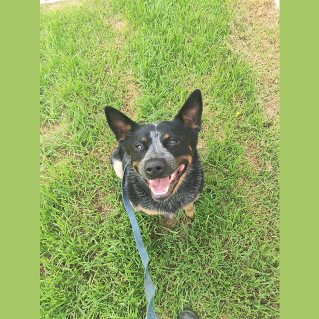 Photo of Bella