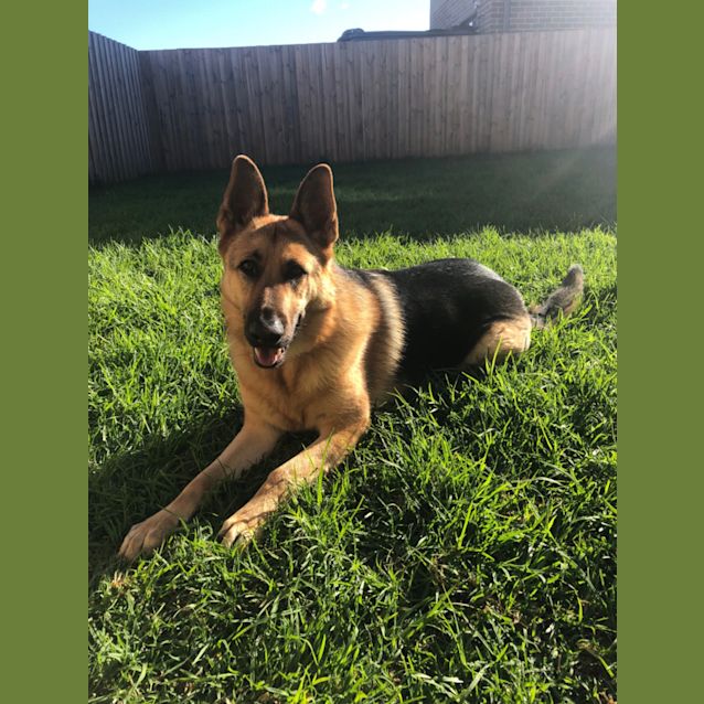 Photo of Kye 😊😊