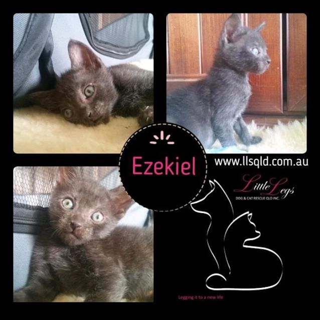 Photo of Ezekiel