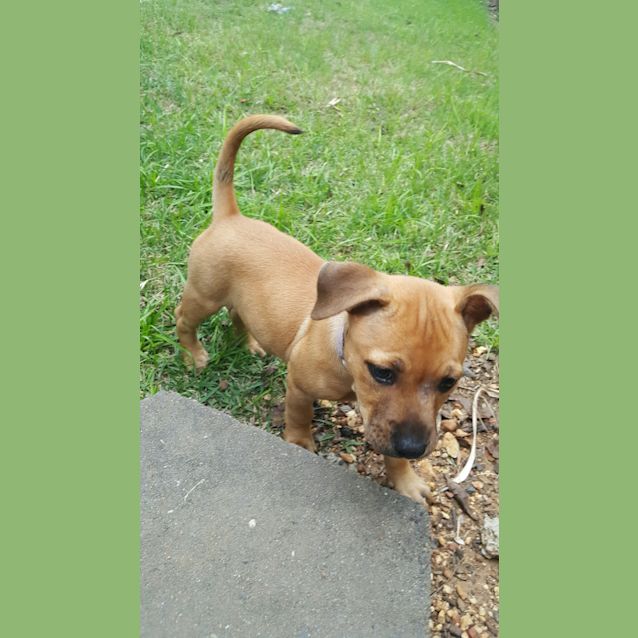 Photo of Salsa 