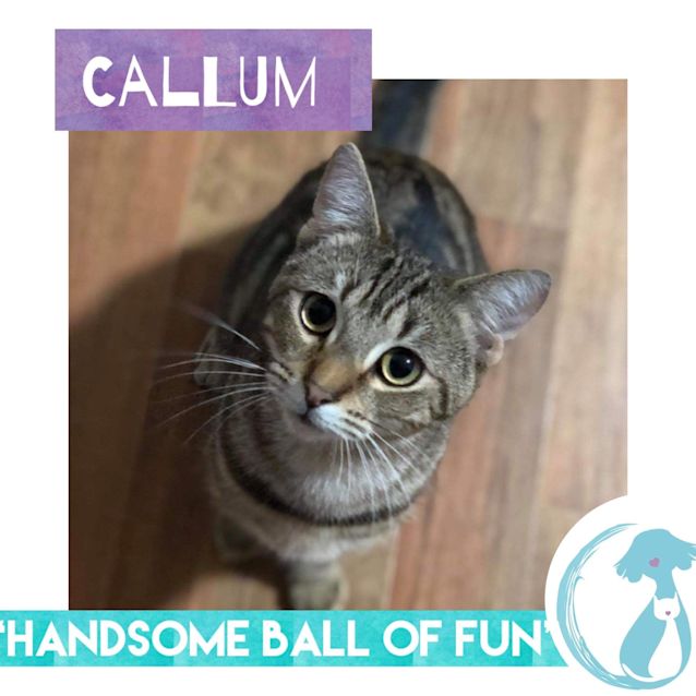 Photo of Callum