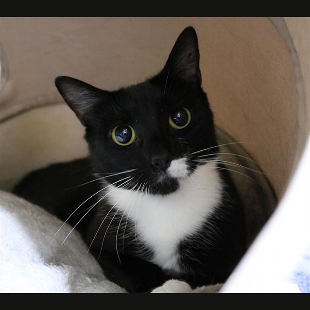 Photo of Mademoiselle
