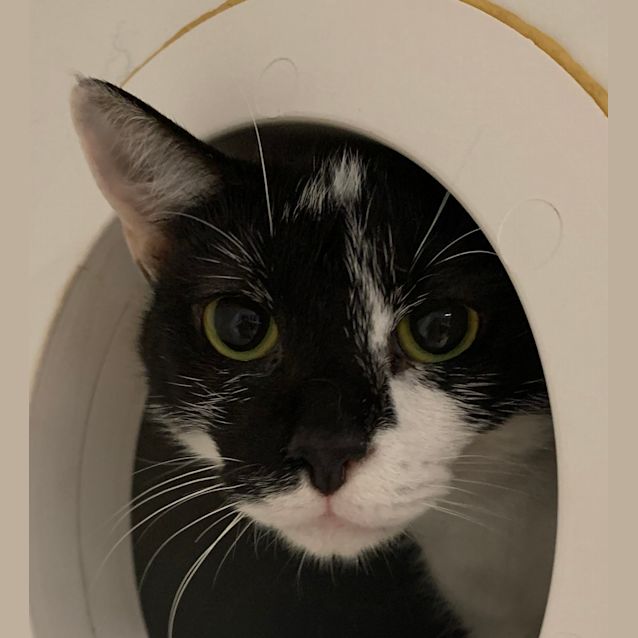 Photo of Penny