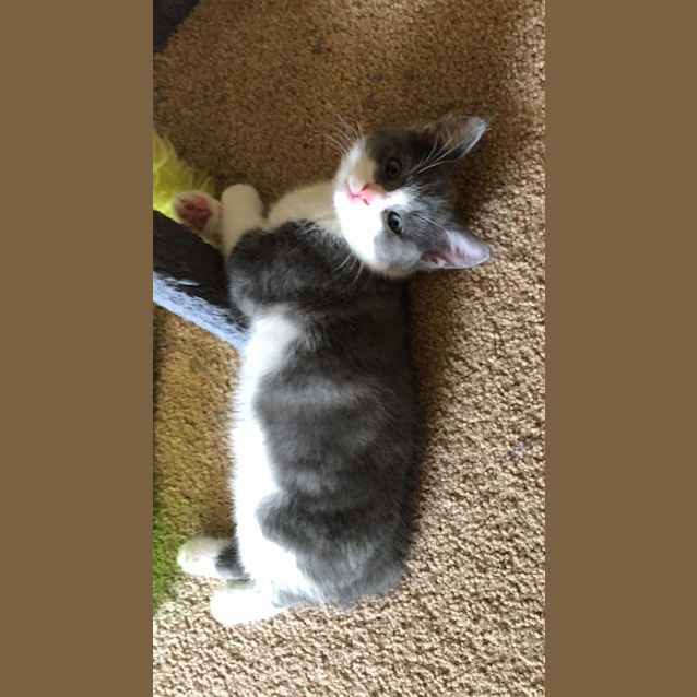 Photo of Angel
