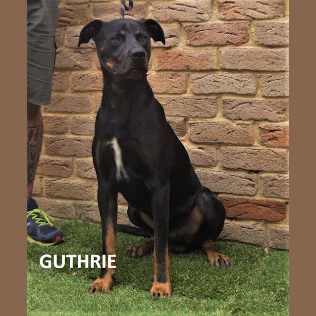 Photo of Guthrie