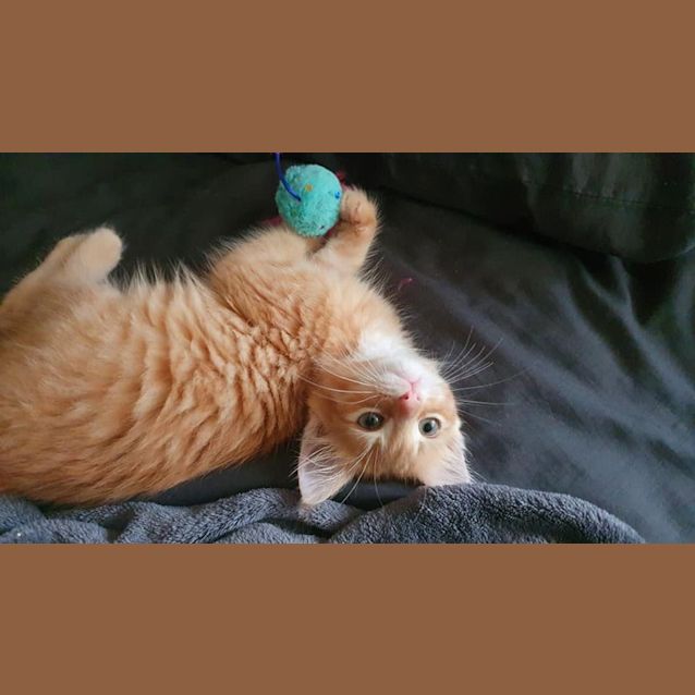 Photo of Rory 