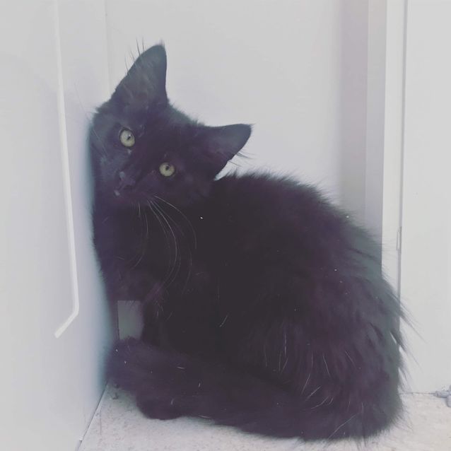 Photo of Toby ❤
