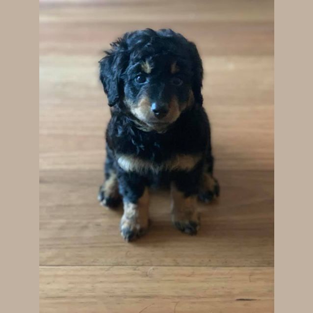 Photo of Arizona 💓