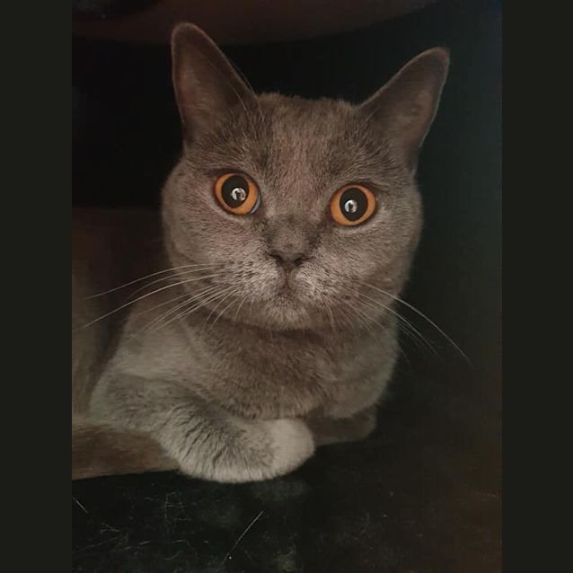 Photo of Narla 🥰