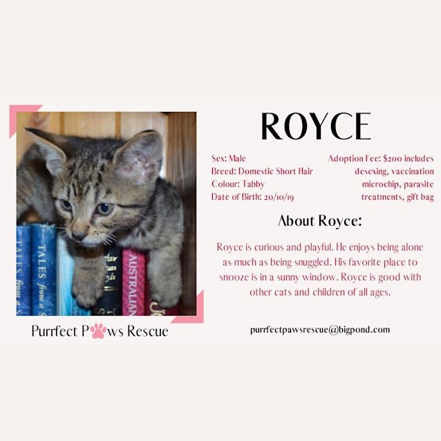 Photo of Royce