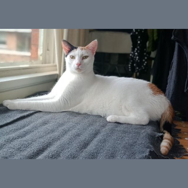 Photo of Maggie 