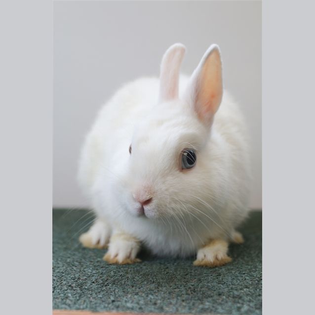 Photo of Billy