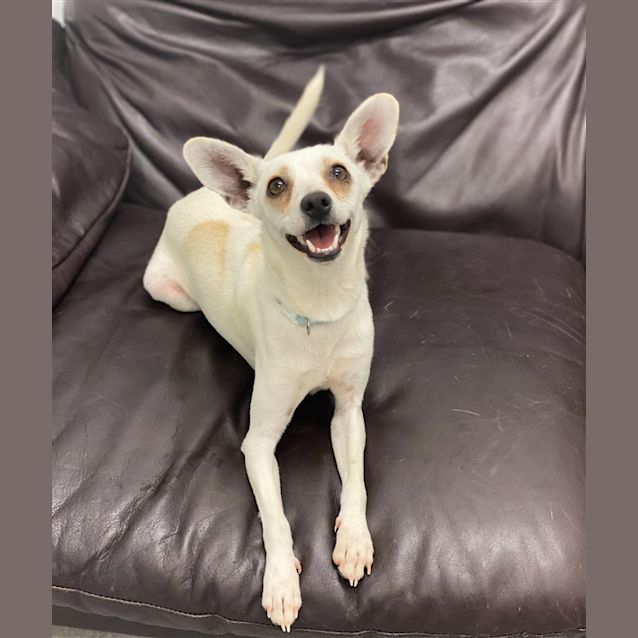 Photo of Rosie