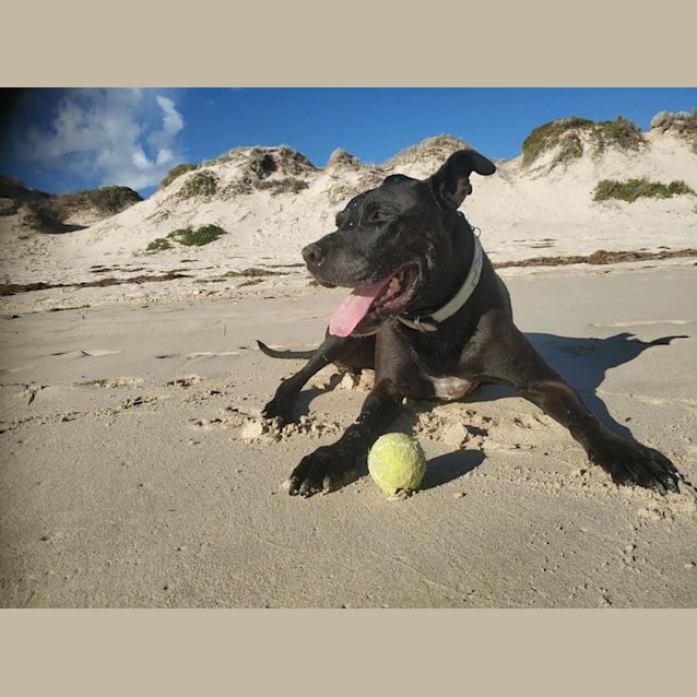 Photo of Russell Dl2385