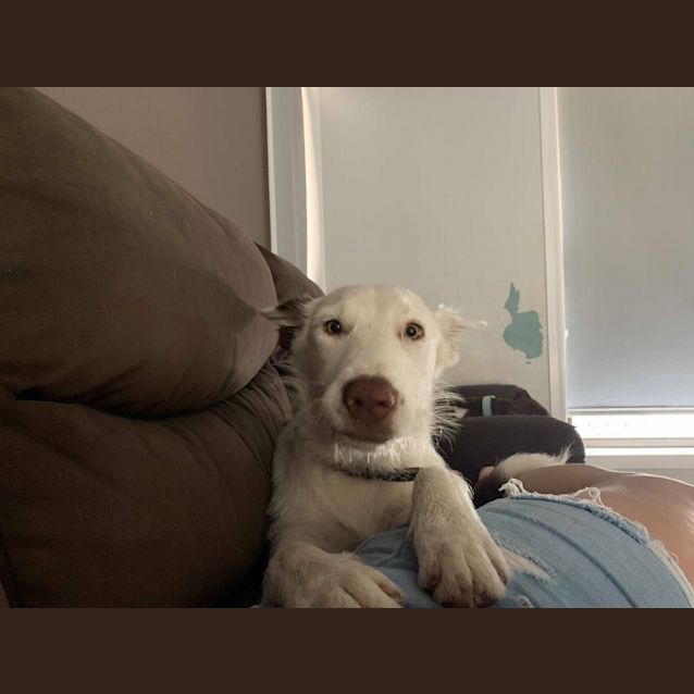 Photo of Ember 