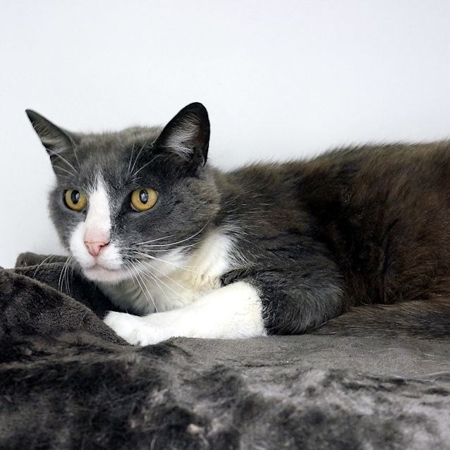 Photo of G.G. Sua004816