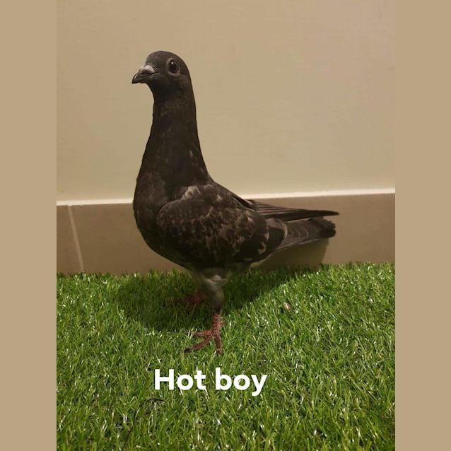 Photo of Hot Boy