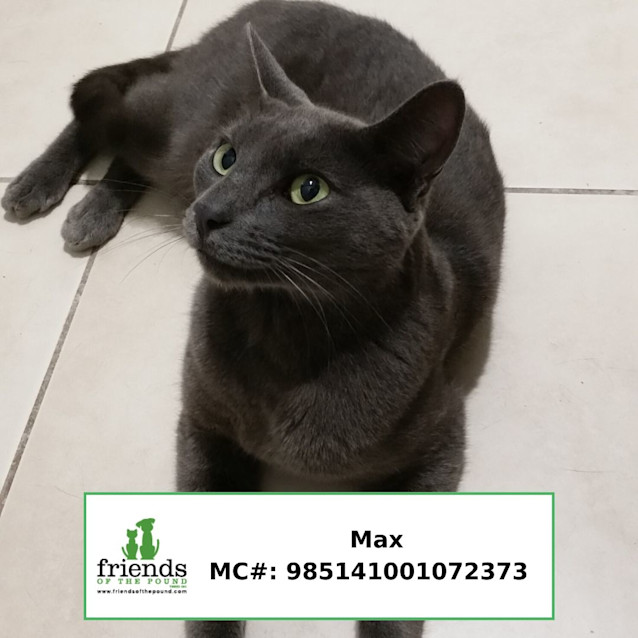 Photo of Max