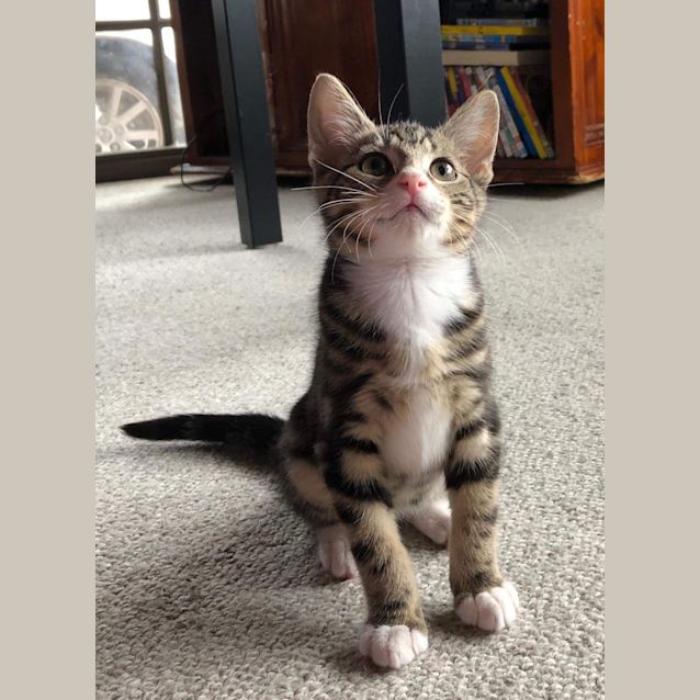 Photo of Cola ❤