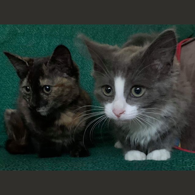 Photo of Anastasia & Matilda ❤❤