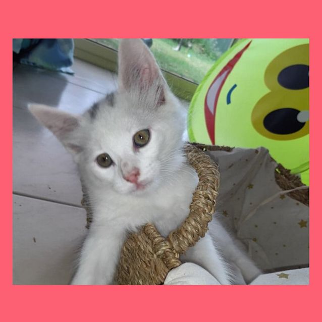 Photo of Lucifer