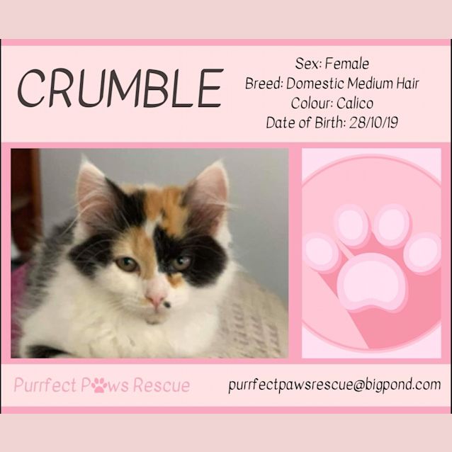 Photo of Crumble