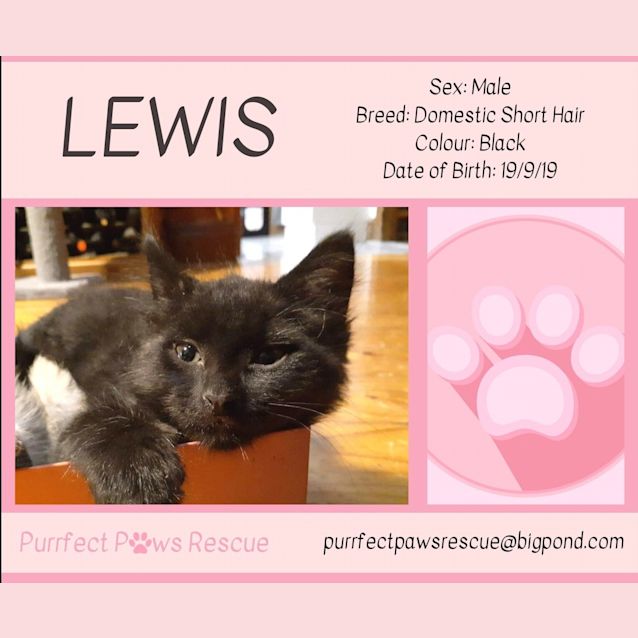 Photo of Lewis